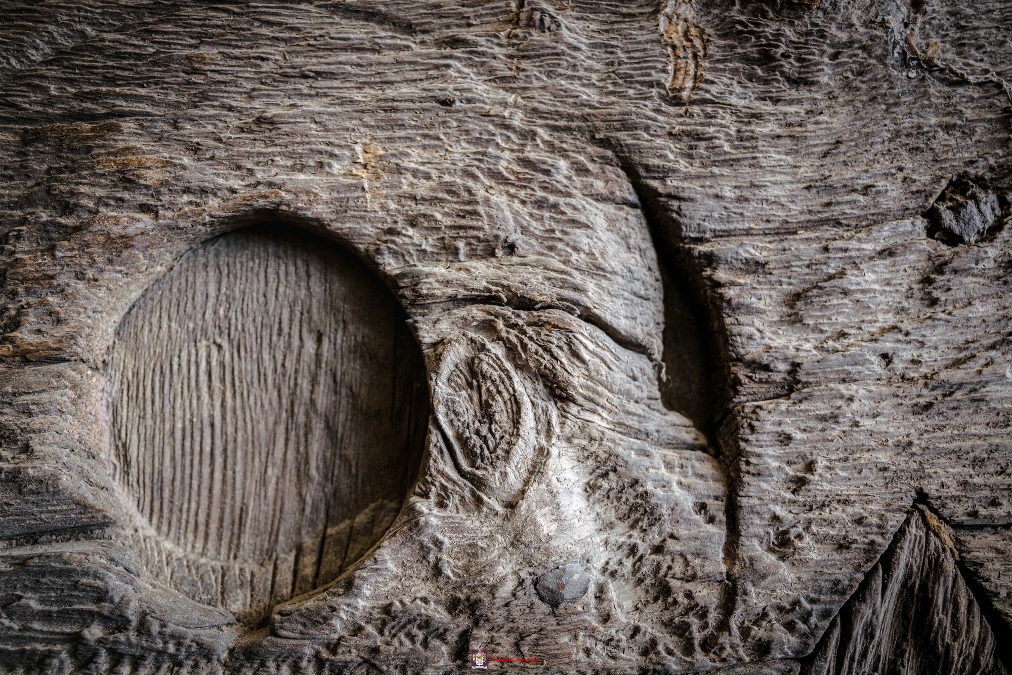 Primo piano di una tavola scavata, con un nodo e le fibre in rilievo